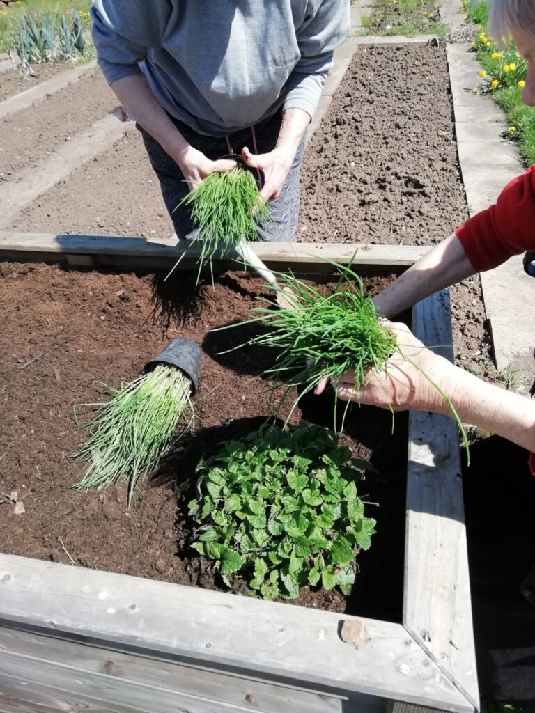 Der Frühling ist da